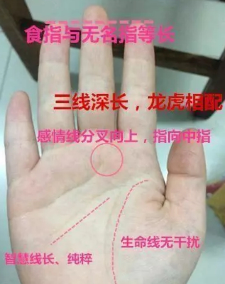 人口手大字_人口普查(3)