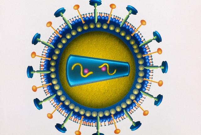 hiv-艾滋病的基本发病机理