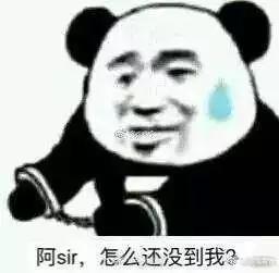 9b2e4e8d3b12415fb352942a60fe2d7d.jpeg