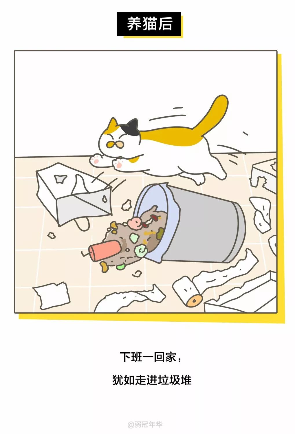 当代人养猫前后的对比，可太真实了！