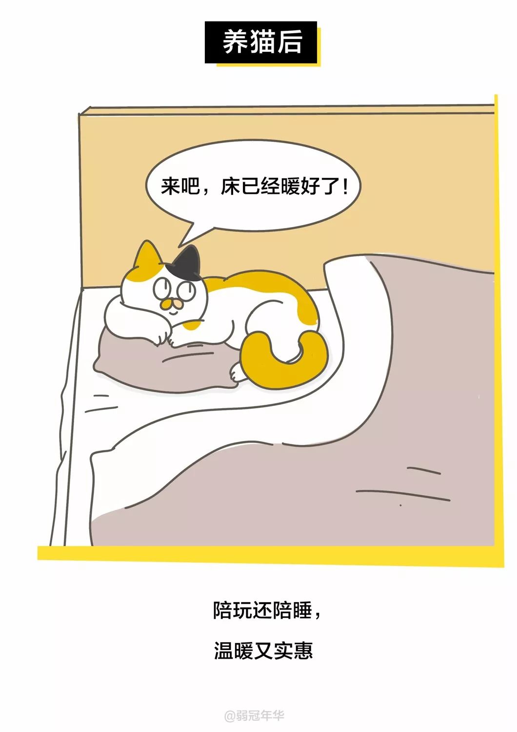 当代人养猫前后的对比，可太真实了！