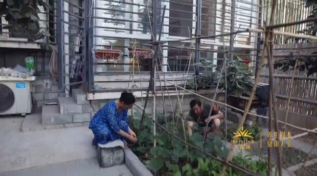 自己种菜丰富餐桌一起在家里屋顶阳台打造小菜园吧亚新体育(图22)