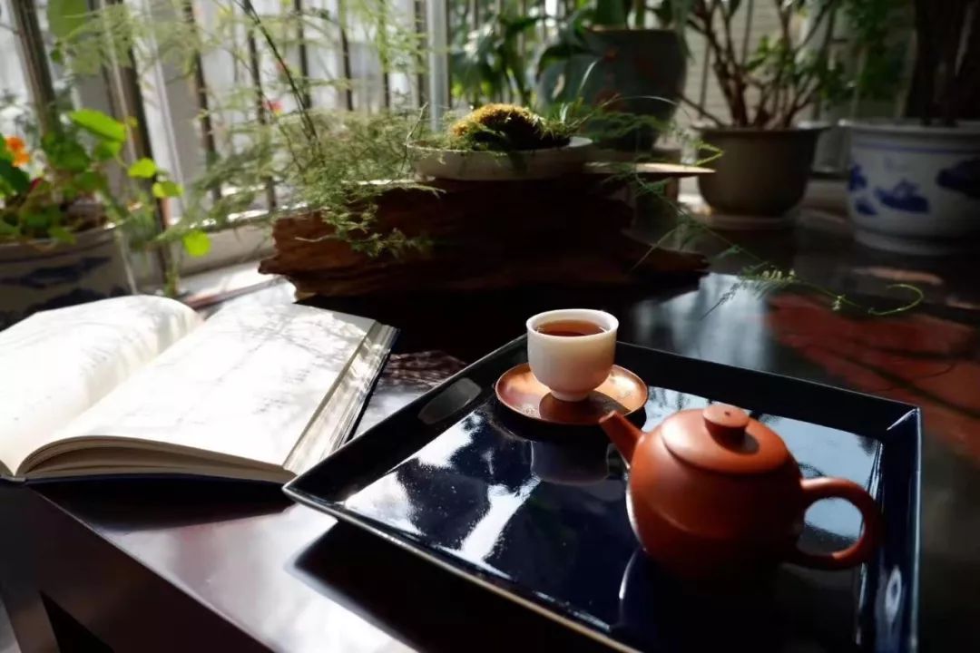 云茶会 | 这个情人节想约你云喝茶