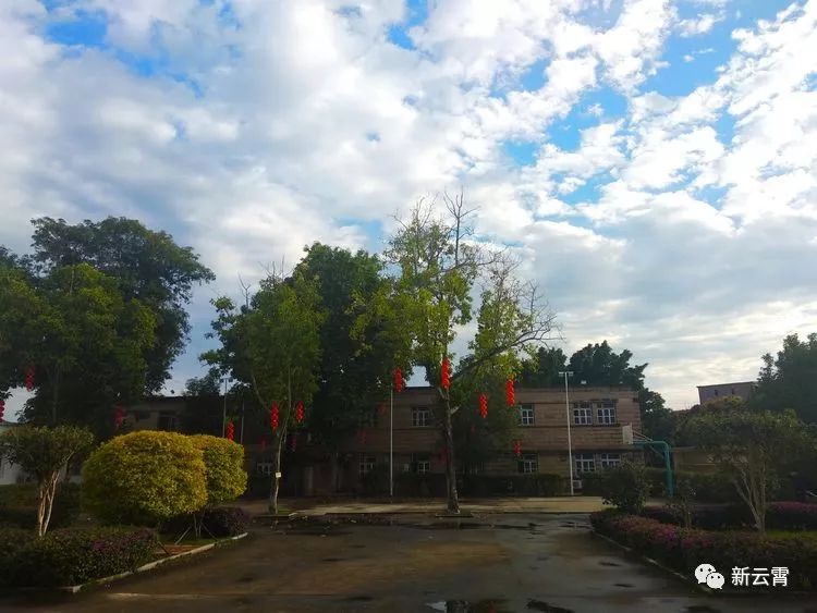 疫情不灭我们不退云霄马铺乡疫线日记持续更新中