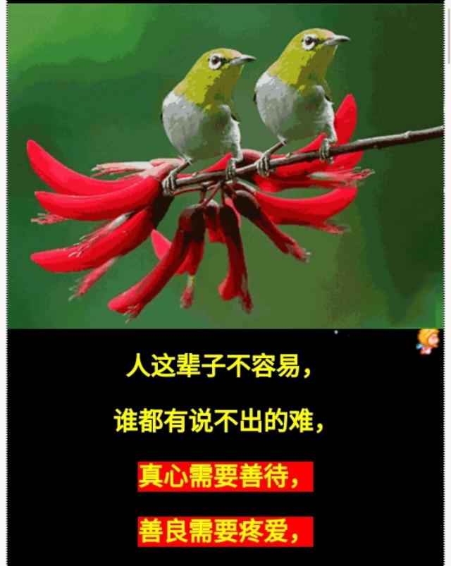 人这辈子不容易,穷也好,富也好,活着才是王道!