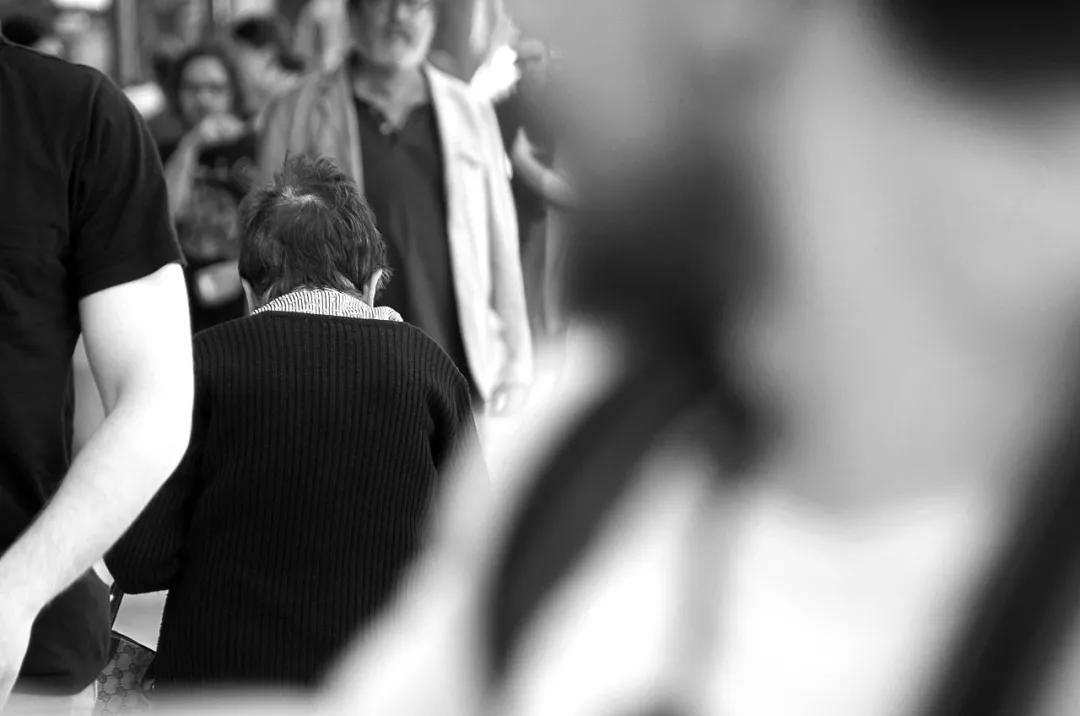 如果一辈子只是在谋生,那就跟动物没有区别