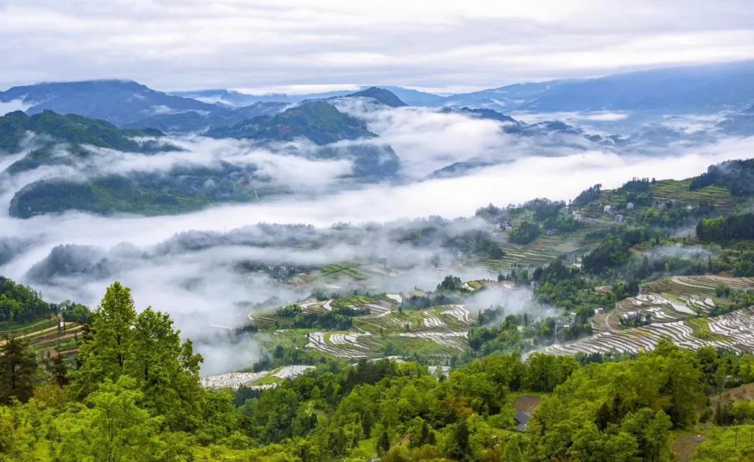 长坪梯田,世界级的自然生态景观!_利川