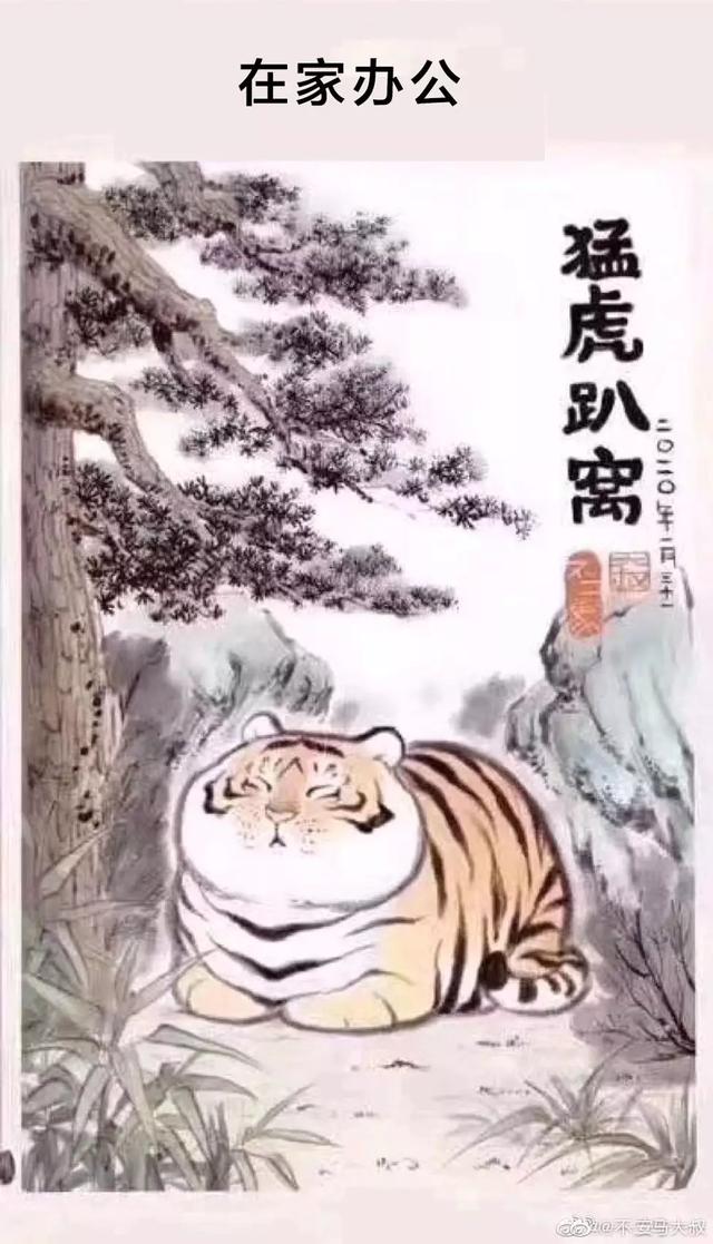 这个春节"猛虎"来回爬,也是折腾到腿软