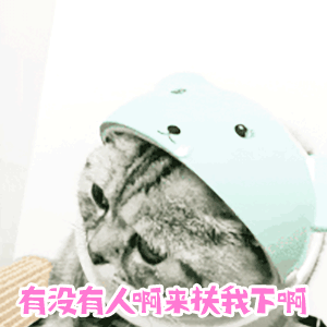 吃鸡专用动态表情包可以带我躺鸡吗