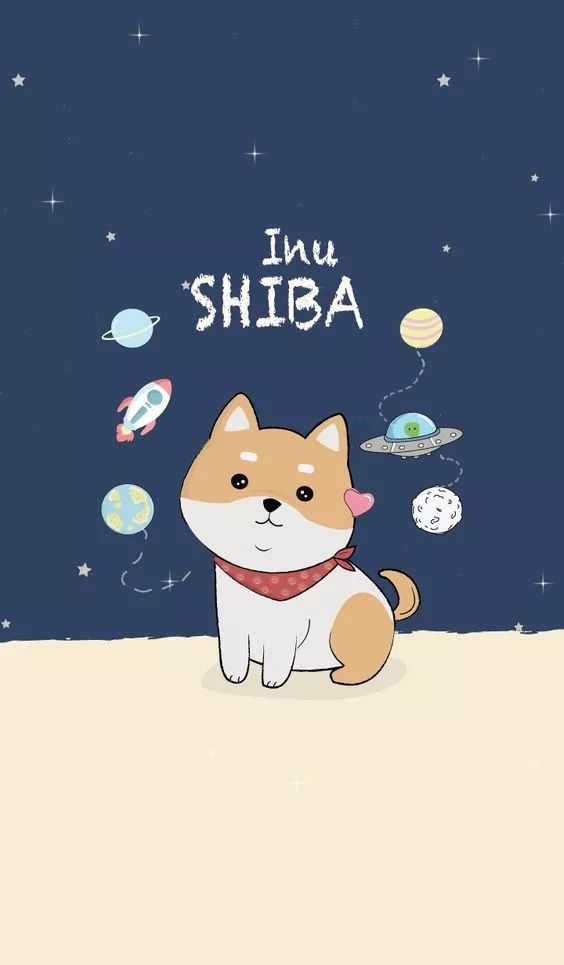 069 : 喜欢柴犬的女生,都有这些可爱特质_冷静