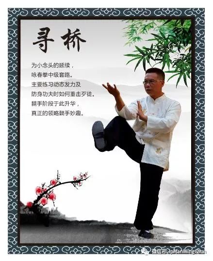 动起来，抗疫情！-（之四）咏春寻桥教程九式。_搜狐网