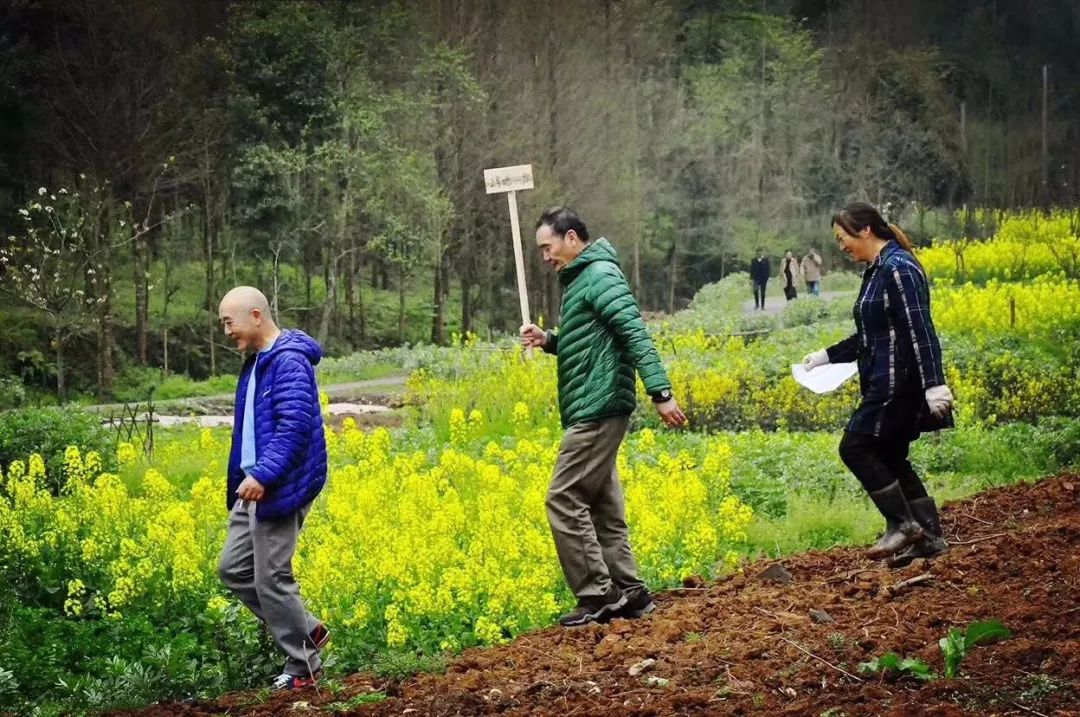 幸福公社爱心传递传递温情让爱更圆满