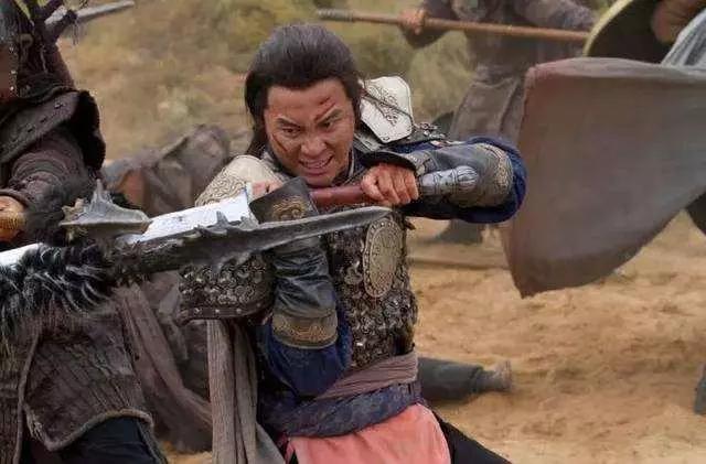 的国家|岳飞死后，南宋为何没被金国灭了？“中兴四将”战斗力有多强悍？