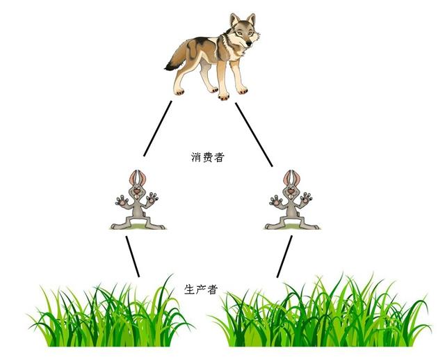 什么狼当什么成语(3)