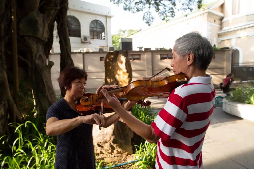 一把琴,两双手,我们相爱50年_谭建华