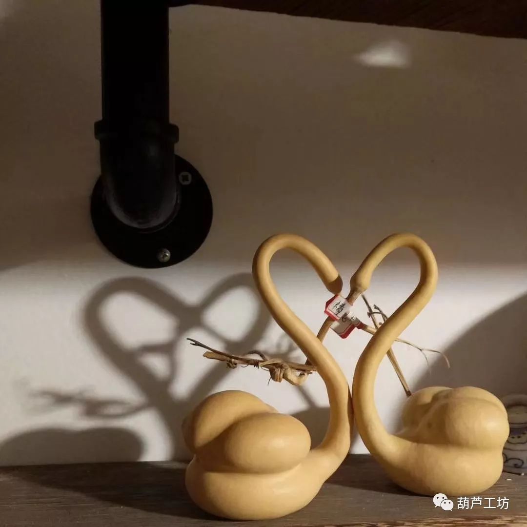 情人节:葫芦是爱情的象征
