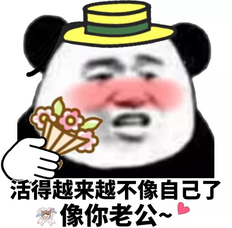 熊猫头表情包 i 今天就是情人节了 提醒一下 我单身!
