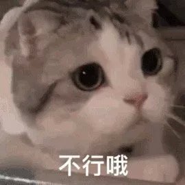 上网课表情包可爱 2d4cd949a6cb42a4ab6a851f65449c45.jpeg