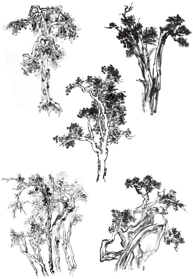 那是你没有学过这3种树的画法,分步骤教你画