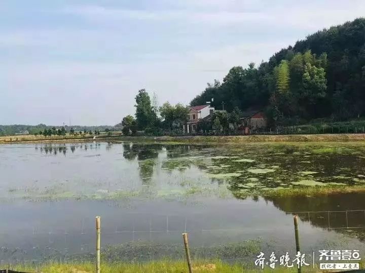黄冈人口w_黄冈职业技术学院(2)