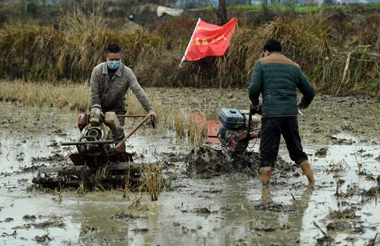 蓬安县有多少人口_古人为什么把家乡称为 桑梓