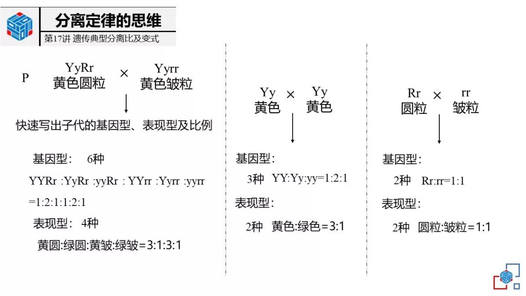 高考生物:典型分离比及变式