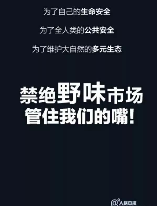 61e39537e1e1457bb094275e147a16fb.JPG
