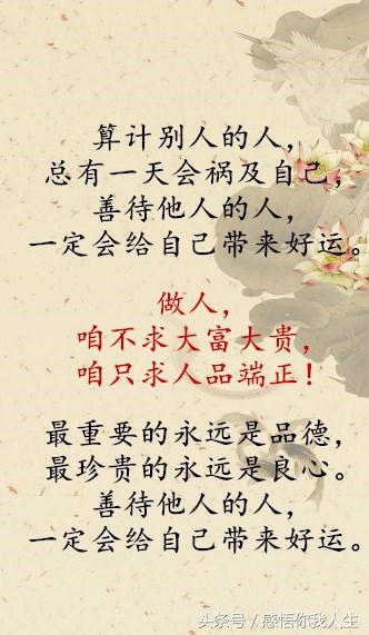 熊熊乐园口丰琴曲谱