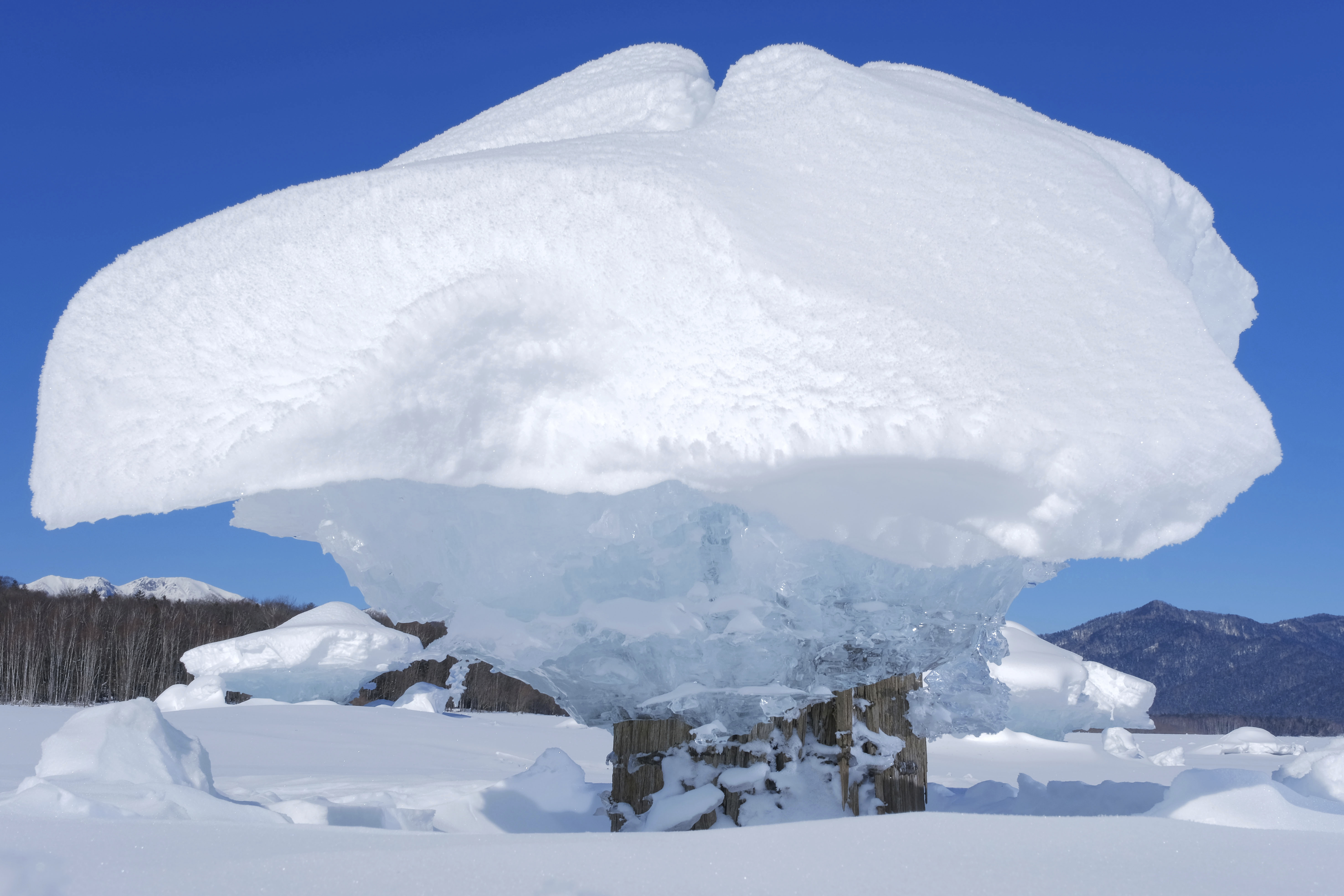 太神奇了!日本北海道出现"蘑菇冰"