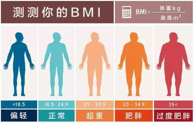 bmi=体重(千克)÷身高(米)