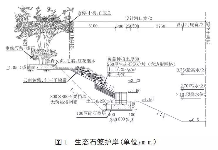 河道护岸发展的趋势生态护岸