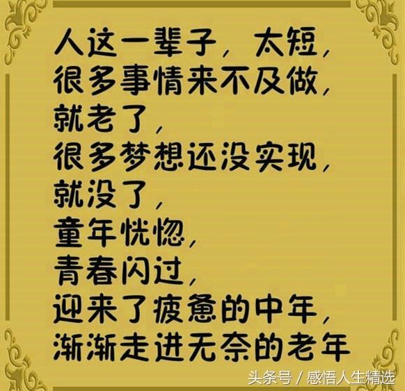 云表人口_人口普查(2)
