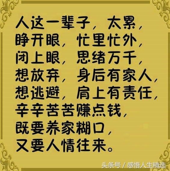 云表人口_人口普查(3)