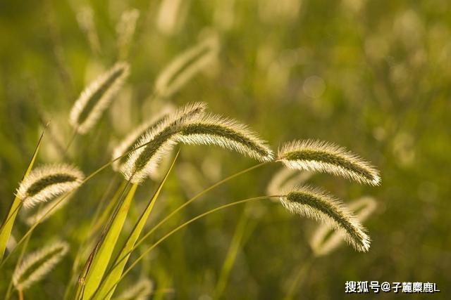 爱情里的农夫与田地 || 放手，大多数源于内心