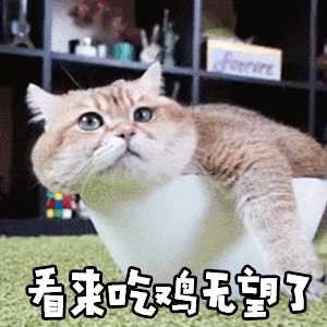 吃鸡专用动态表情包可以带我躺鸡吗