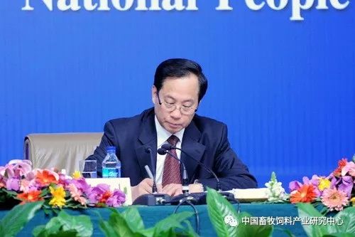 步什么程成语_丁字步正确站法是什么