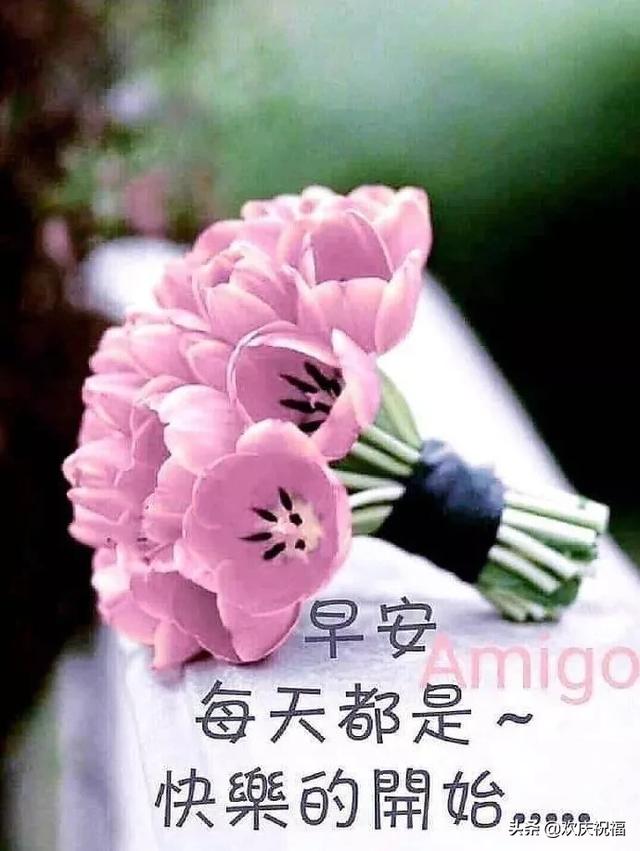 2月15日清晨问候大家的早上好句子,早上好温馨漂亮图片