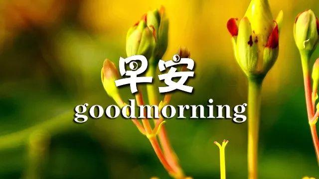 17e9d4969d3548099f336cd42afdee79.jpeg