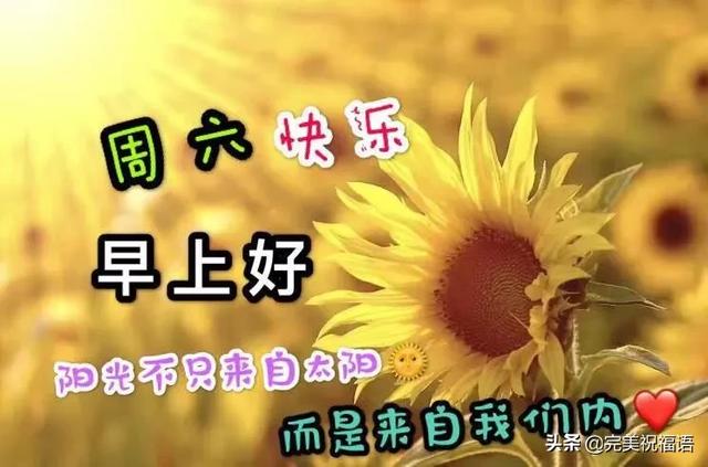 2020年2月15日周六早上好漂亮祝福图片春天暖心早安问候语简短