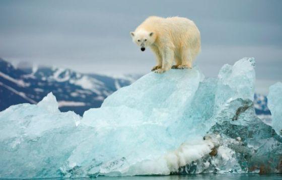 海平面上升超上世纪三倍:南极冰川融化成危险因素
