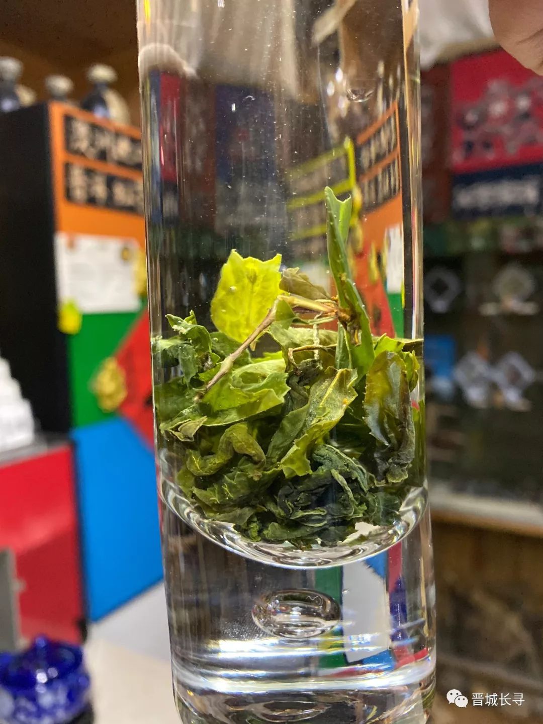 晋之成工连翘茶