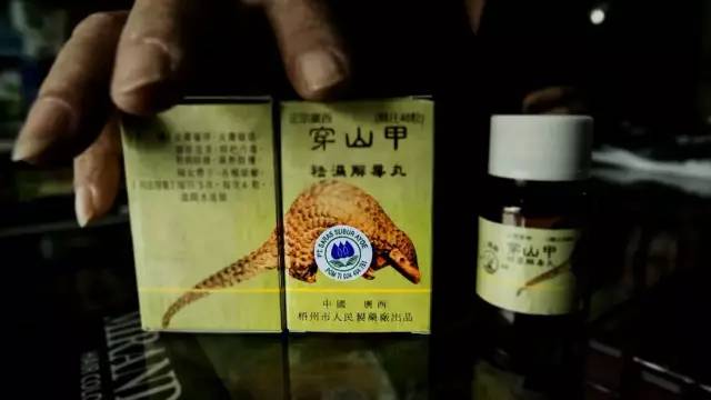 BBC纪录片揭开残忍真相：人类贪婪的背后，是一个物种的灭绝