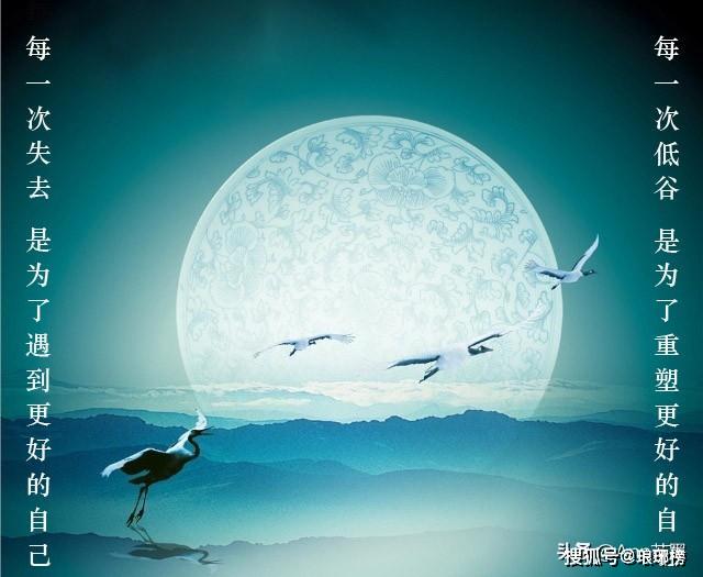 每一次低谷,都是重生