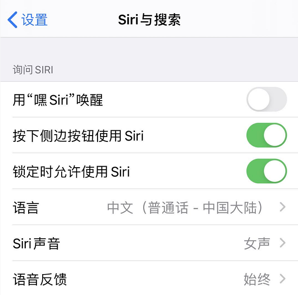 iOS13小技巧:让Siri陪你玩“成语接龙”