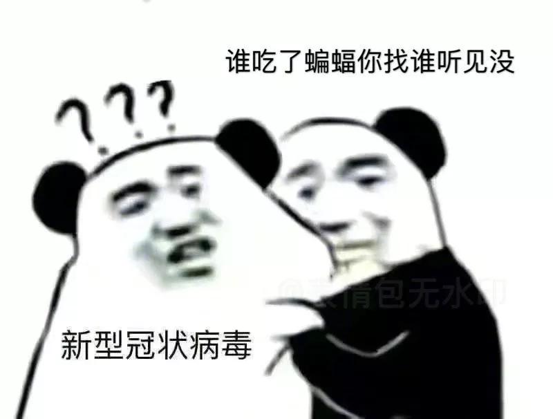 3c251a6b0a5f49d5946042ef38b67af1.JPG