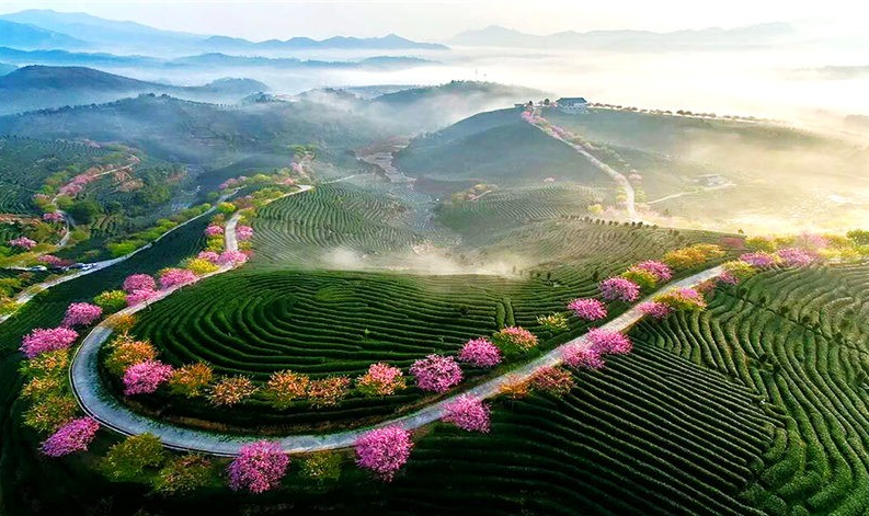 武平梁野山生态旅游区