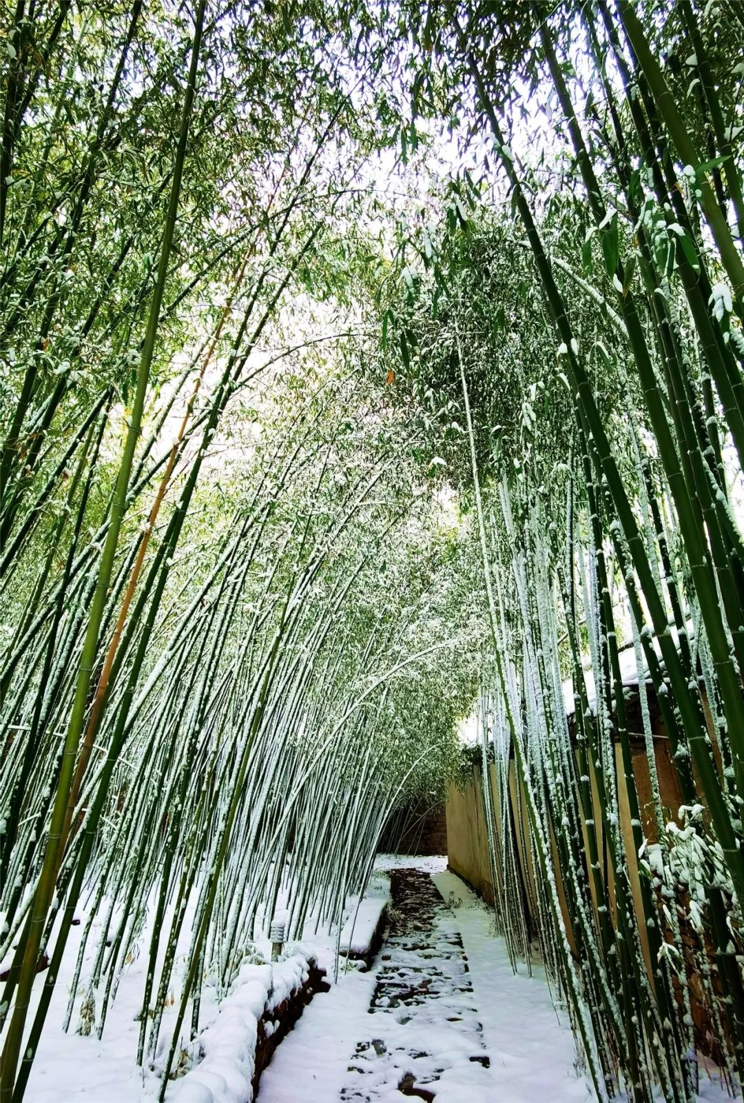 所有人宅在家里赏雪景丨竹泉村红石寨落雪