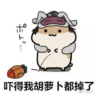 51db77ca3636430cb88c10af5dd62481.jpeg