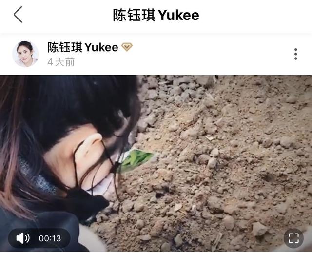 10位明星秀厨艺：赵丽颖杨幂进步大，郑爽被爸爸