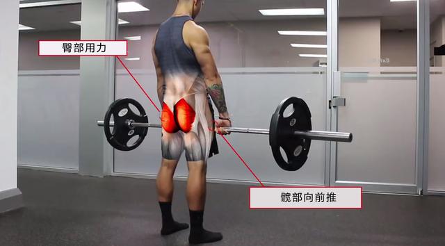 健身动作之硬拉如何做标准的传统硬拉正确训练臀部大腿肌肉